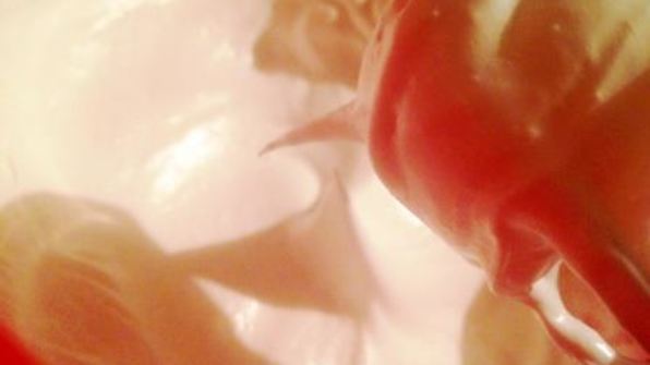 шоколадное безе