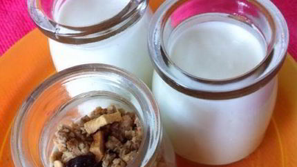 Йогурт в хлебопечке