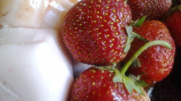 клубничная панна котта с соусом