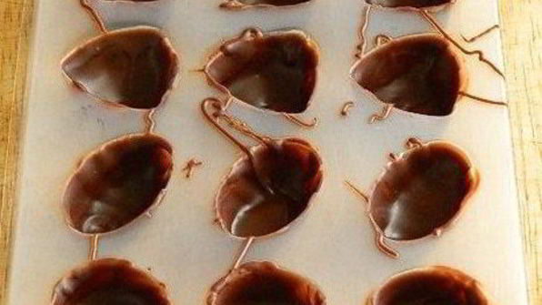 шоколадные конфеты с творожным сыром