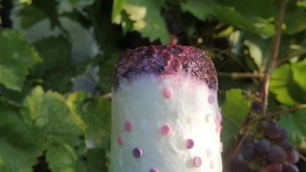 легкое йогуртовое мороженое