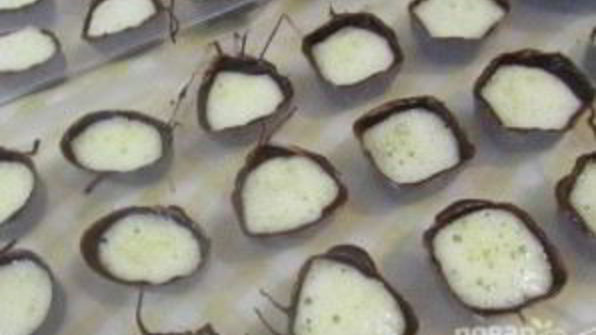 шоколадные конфеты с персиковым муссом