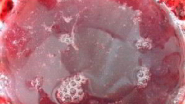 смородиновый мусс