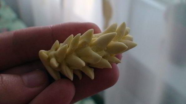 кулич пшеничка