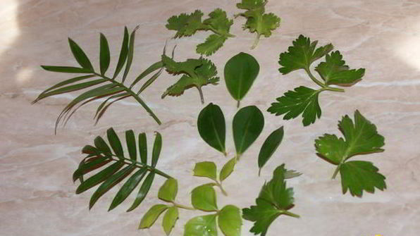 пасхальные яйца