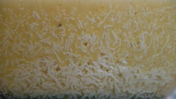 цитрусовая пасха