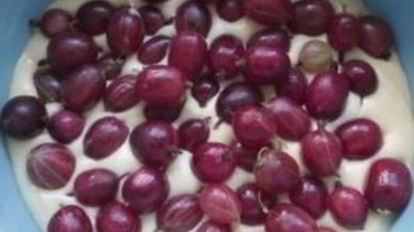 пудинг с крыжовником