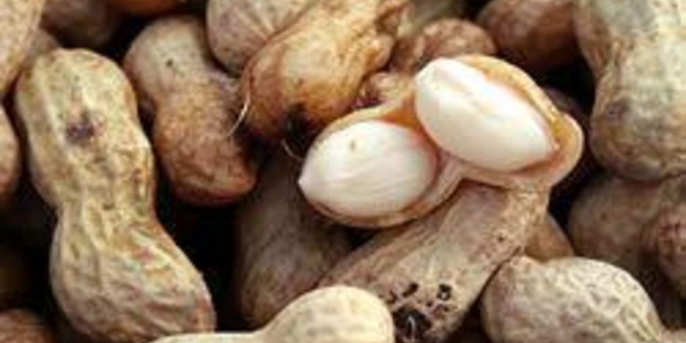 Рецепт вареного арахиса