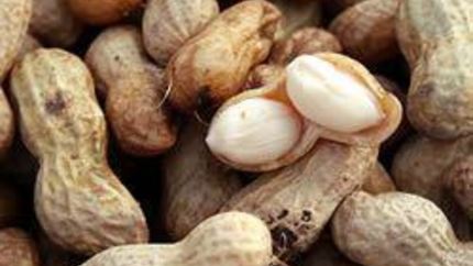 Вареный арахис