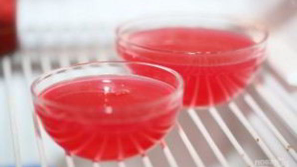 желе с желатином