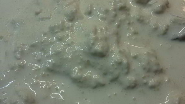 драники, запеченные с грибами и мясом под сырным соусом