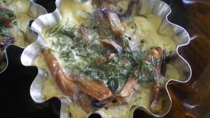 Грибы Бристольские