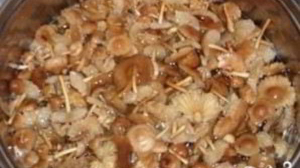 опята с картошкой в духовке