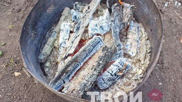 шампиньоны гриль