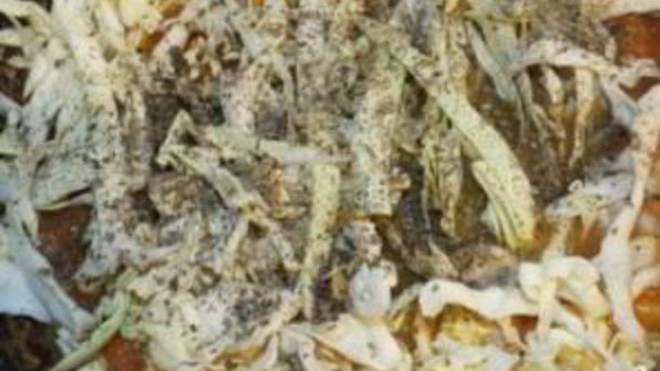 шампиньоны тушеные с овощами