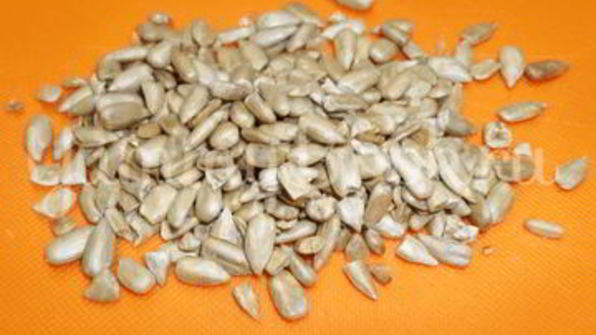 котлеты, панированные семечками