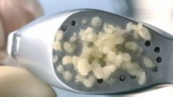 котлеты птичье молоко