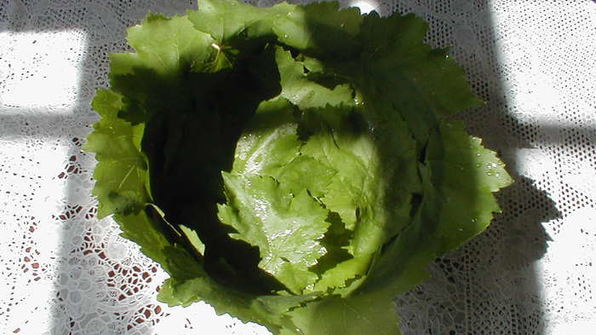 виноградная лазанья