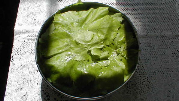 виноградная лазанья