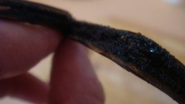 паста под соусом бешамель с мидиями и маринованным лососем