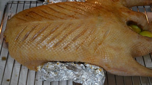 запеченный гусь с яблоками и алычой в духовке