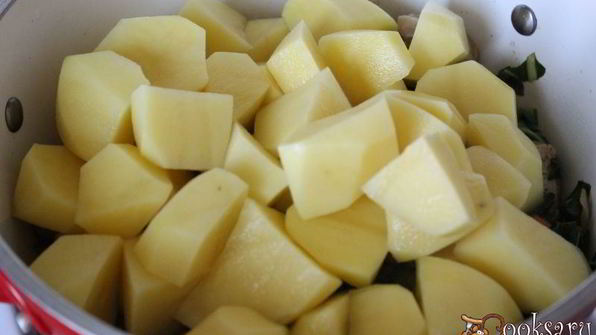 тушеный картофель с курицей и мангольдом