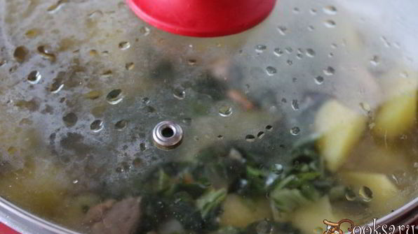 тушеный картофель с курицей и мангольдом