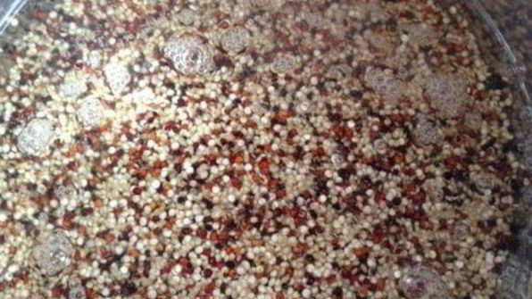 фрикасе из утки с киноа