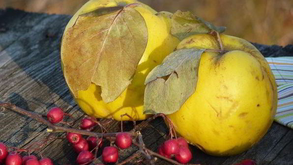 осеннее рагу