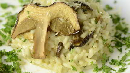 Ризотто с белыми грибами