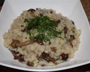 Традиционное ризотто с опятами