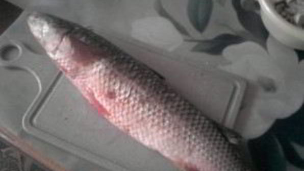 фаршированная кефаль