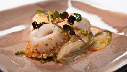 Хрустящие кальмары с цикорием в апельсиново-кунжутной заправке