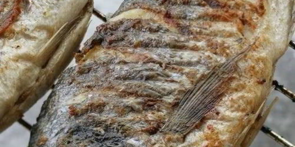 Рецепт маринованной дорады на гриле
