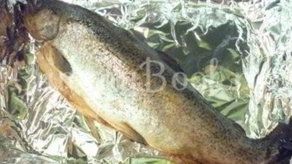 радужная форель, запеченная в фольге с лимоном