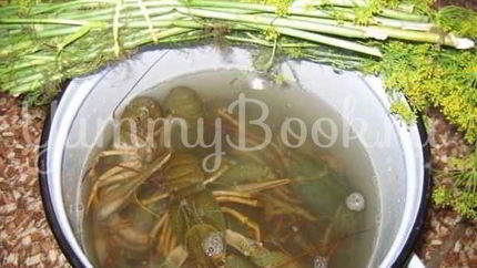 Раки в пиве