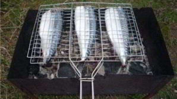 скумбрия на мангале