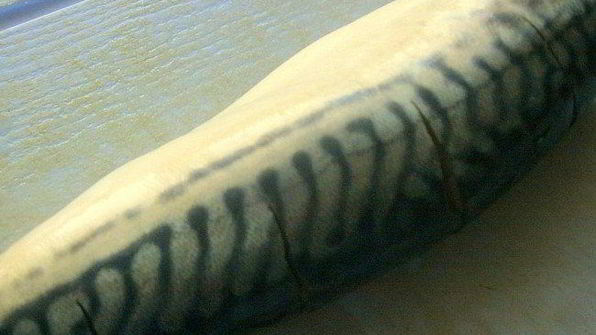 скумбрия пикантная