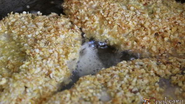 тилапия в хрустящей панировке