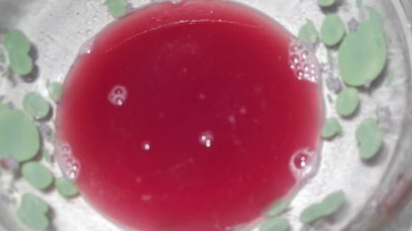 хазани хоровац — шашлык в кастрюле