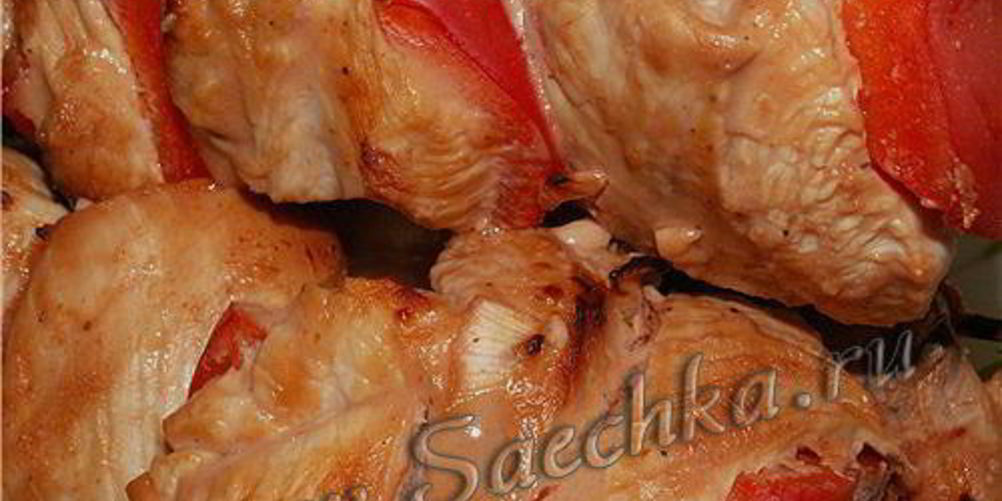 Рецепт шашлыка из индейки в кефирном маринаде