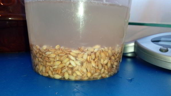 перловая каша