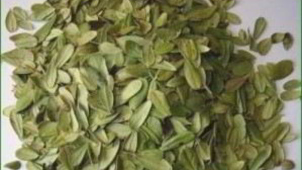 брусничный чай