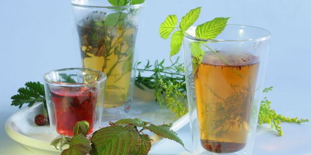 Рецепт чая с шиповником и крапивой