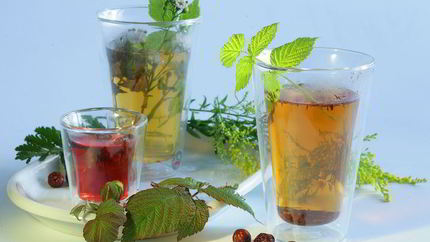 Чай с шиповником и крапивой