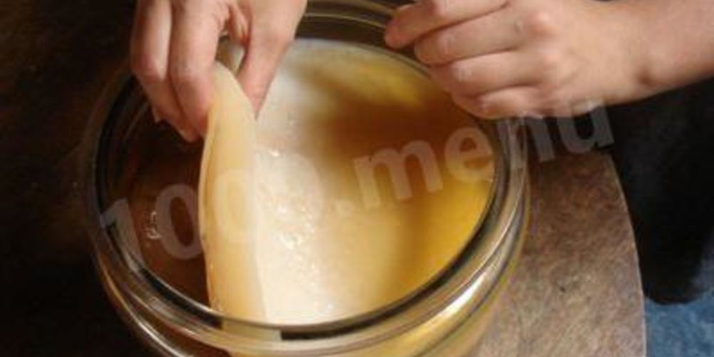 Рецепт чайного гриба