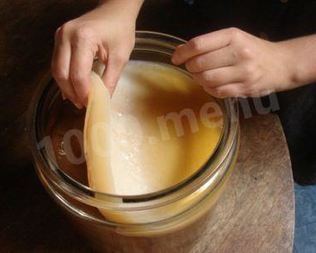 Чайный гриб