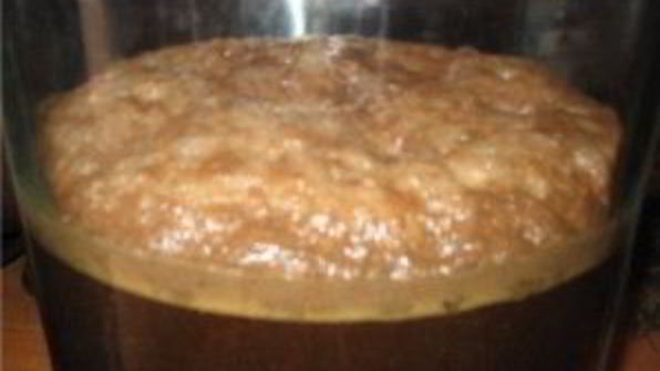 домашнее пиво из свеклы