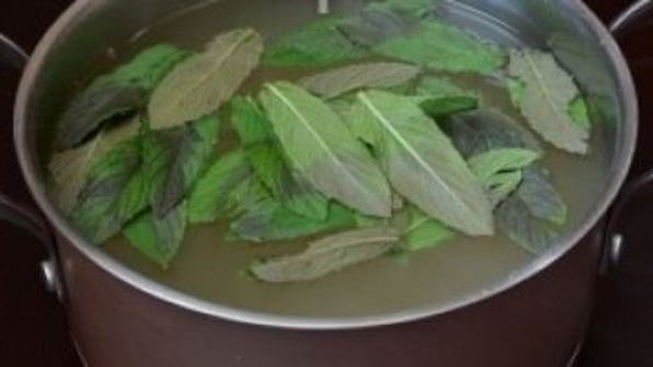 квас из ревеня