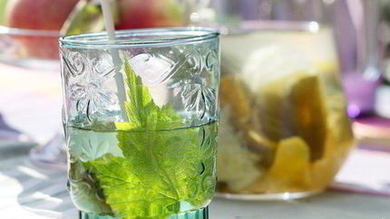 Лимонад с листьями смородины и мяты